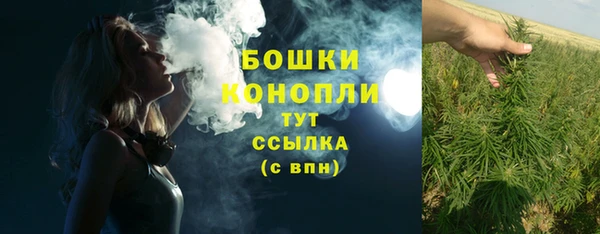 прущая мука Новодвинск