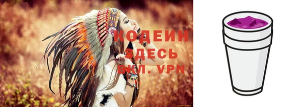 СК Новозыбков
