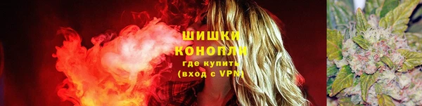 СК Новозыбков