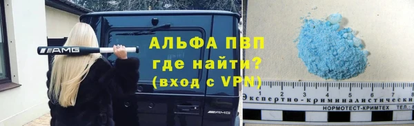 СК Новозыбков