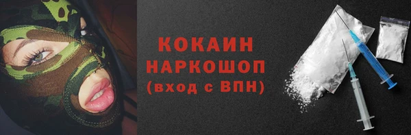 СК Новозыбков