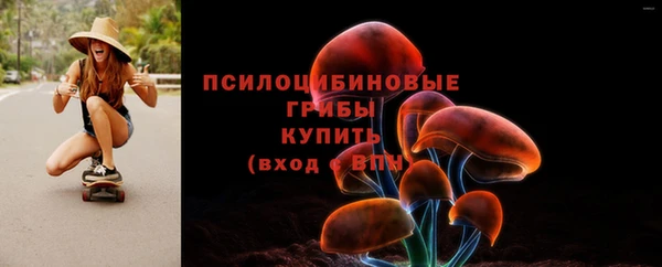 прущая мука Новодвинск