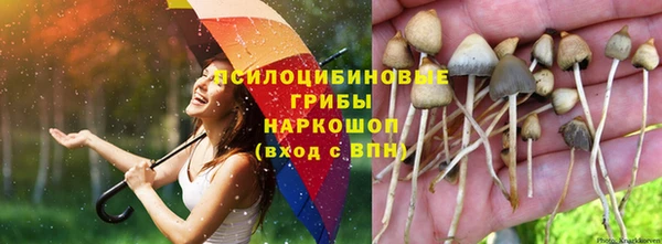 кокаин Новокубанск