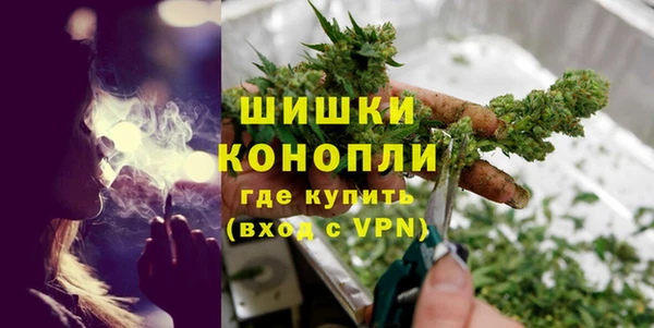 СК Новозыбков