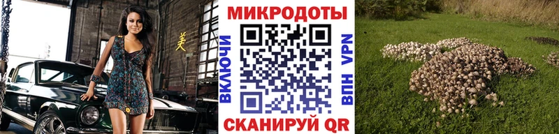 Псилоцибиновые грибы Psilocybine cubensis  закладки  Апрелевка 