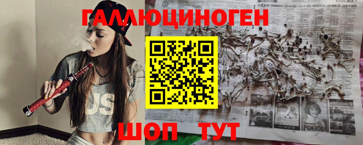 где купить наркотик  Апрелевка  Галлюциногенные грибы Psilocybine cubensis 