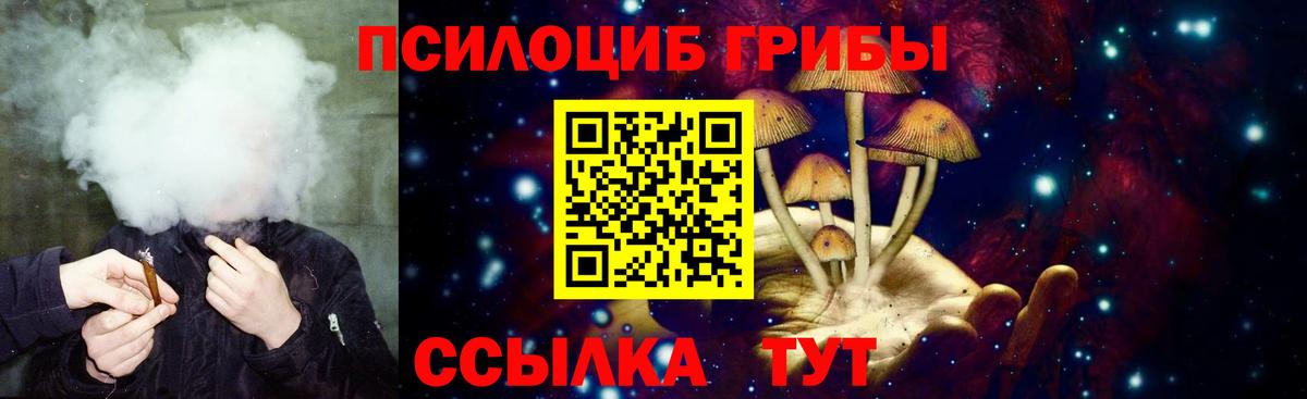 Псилоцибиновые грибы Psilocybe  Псилоцибиновые грибы GOLDEN TEACHER  купить наркотик  Вход с VPN  Апрелевка 
